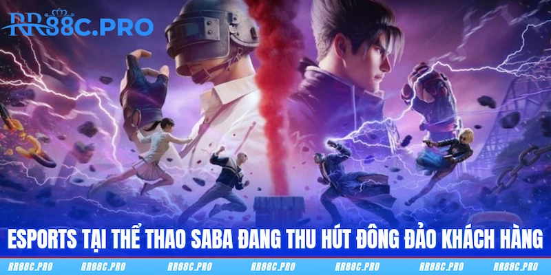 Esports tại Thể Thao SABA đang thu hút đông đảo khách hàng